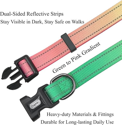 Dog Collar Leash Set, Gradient Color, with Safety Reflective Strips, 5 ft Matching Leash, Neoprene Padded Handle, Adjustable 4 Sizes for Small Medium Large Dogs.(S, Green Orange)