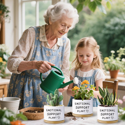 Haooxinwei Funny planters for Indoor Plants, for Planter Lover,Indoor Plants Garden Planters Succulent Pots, with Drainage Holes and Saucer(No Plants) (Emotional Support Plant)