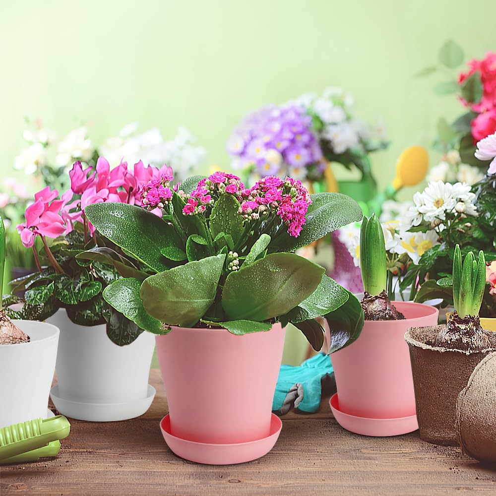 OALCQ 4 Inch Small Flower Pots - 24 Pcs, 8 Colors, Indoor Plant Pots with Drainage