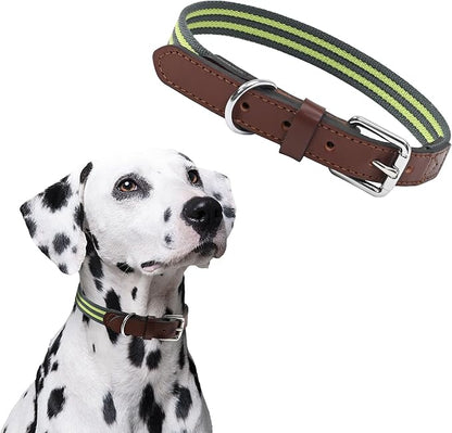 Mile High Life Genuine Leather Dog Collar, Heavy Duty Canvas Collar with Adjustable Metal Pin Buckle for Small Medium Large Dogs (Lime Green, M Neck 15"-18")