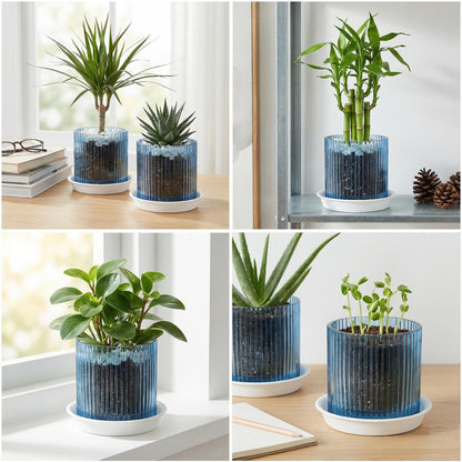 Hestremo Blue Glass Plant Pots Indoor, 5 inch Clear Orchid Pots with Drainage Holes & Trays, Small Glass Planter for Indoor Plants, Herbs, Succulent Flower Planter with Ribbed Texture, Set of 2