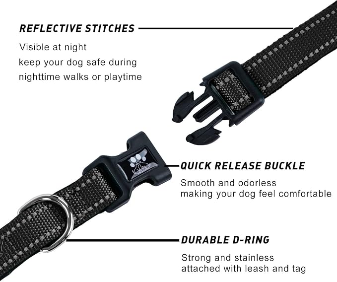 FURRYFECTION Reflective Dog Collar and Leash Set with Quick Release Buckle, Padded with Neoprene Adjustable Nylon Dog Collar for Small Medium and Large Dogs (Small Collar+5FT Leash, Black)