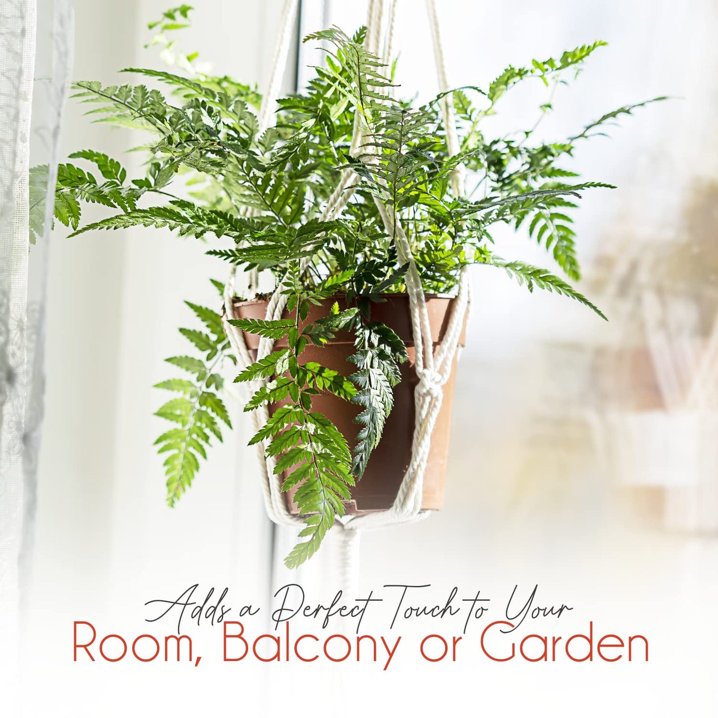 feedee Macrame Plant Hangers Indoor Macrame Hanging Planters for Indoor Plants, 6 Pack Hanging Plant Holders Indoor Hanging, Macromay Plant Hangers for Indoor Plant Hanger, Outdoor Flower Pots Holder