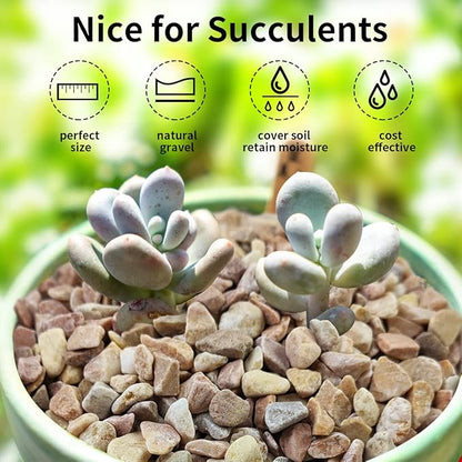 FANTIAN 2 lbs Pea Gravel - 3/8 Inch Small Pebbles Rocks for Indoor Plants, Succulents, Cactus, Fish Tank, Terrarium, Landscaping and Decorative Stones(32 oz, 6-9 mm)