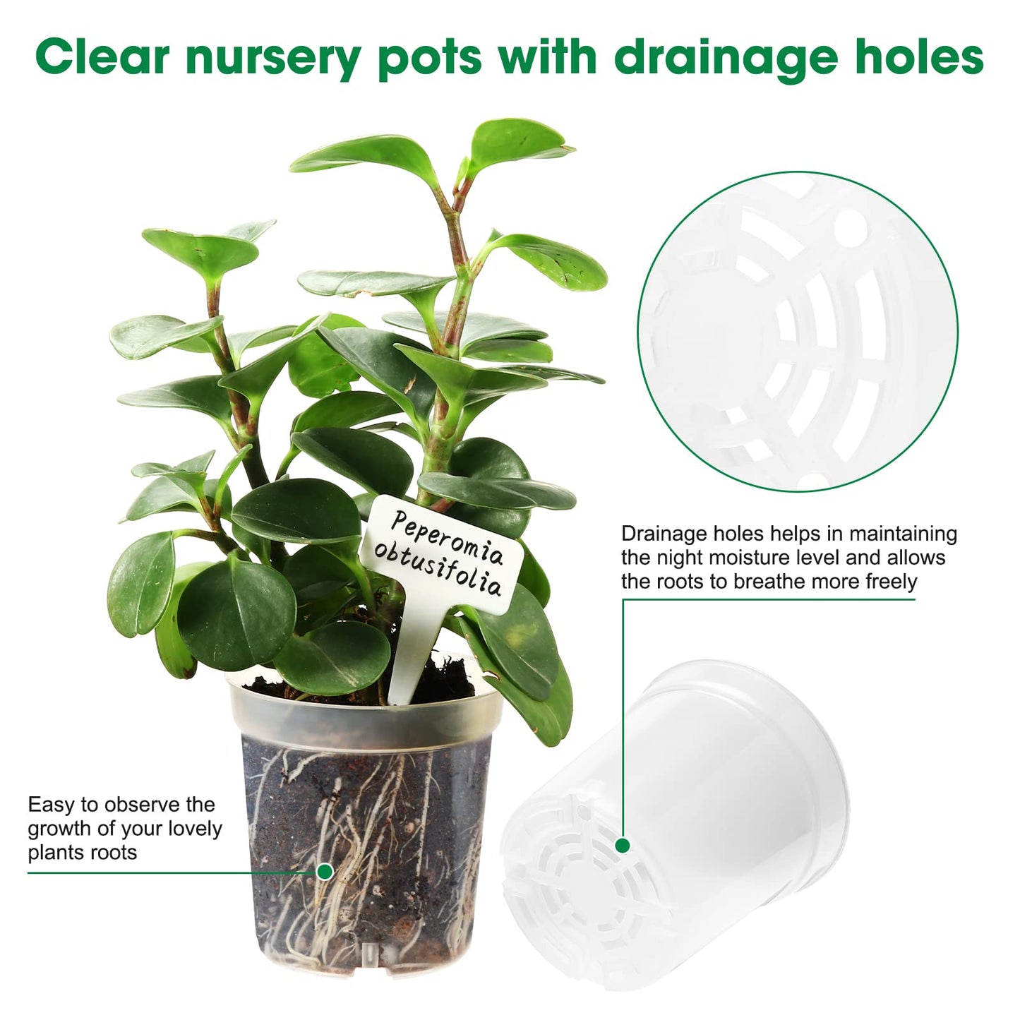 Rsipelsk 30 Pcs 3.5 Inch Clear Nursery Pots for Plants, Transparent Plastic Plant Pots with Drain Holes, Seed Starter Pots with 20 Plant Labels for Flowers Vegetable Seedlings