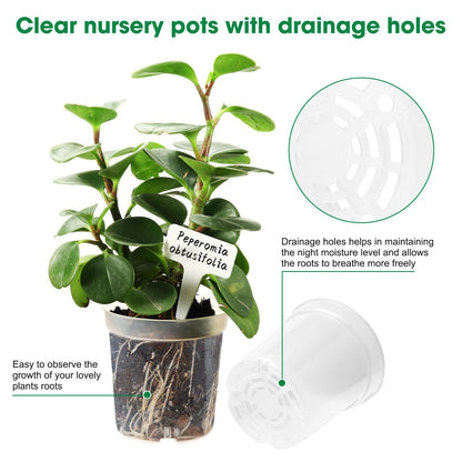Rsipelsk 30 Pcs 3.5 Inch Clear Nursery Pots for Plants, Transparent Plastic Plant Pots with Drain Holes, Seed Starter Pots with 20 Plant Labels for Flowers Vegetable Seedlings