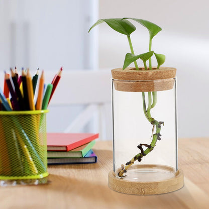 Angoily 2pcs Glass Hydroponic Planter Vase with Stand, 6.5x10cm Desktop Terrarium for Home Garden Decoration and Office Plant Display