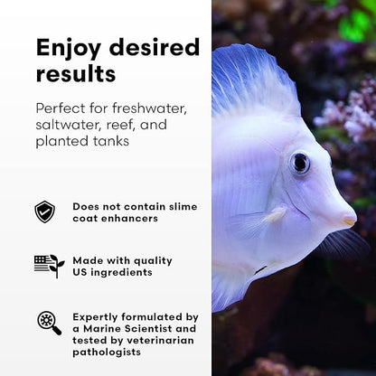 Continuum Aquatics Fraction Water Conditioner for Freshwater & Marine Aquariums – Removes Ammonia, Chlorine & Chloramines – Supports Aquarium Balance – Advanced Water Treatment, 500 ml