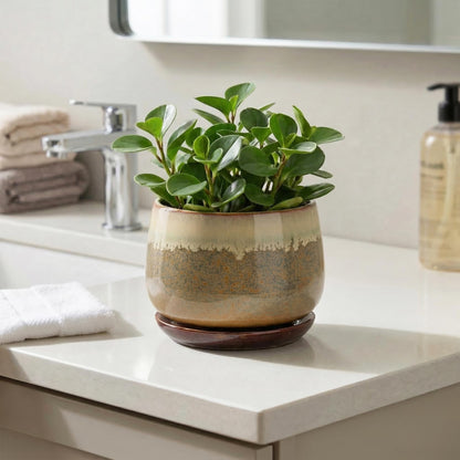 Fivepot Ceramic Pots for Plants - 6 Inch Plant Pot Indoor with Drainage and Saucer, Round Planters for Succulent Snake Plants, Decorative Flower Pot, Home Decor, Plant Lover Gifts, Brown-Beige