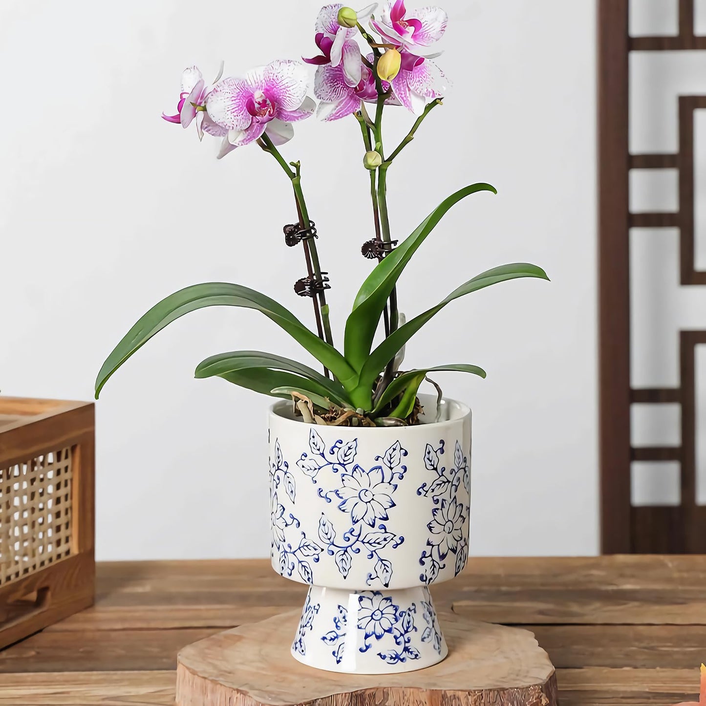 Blue and White Ceramic Flower Pot with Drainage Hole ，Elegant Succulent Plants and Orchid Planters, Home Decor Flowerpots with Tall Cup Shape Suitable for Tiger Tail Orchid and Floral Plants