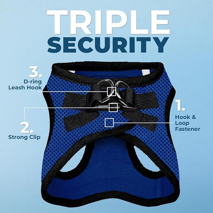 Best Pet Supplies Voyager Step-in Air All Weather Mesh Harness and Reflective Dog 5ft Leash Combo with Neoprene Handle, for Small, Medium and Large Breed Puppies - Royal Blue/Black Trim, Medium