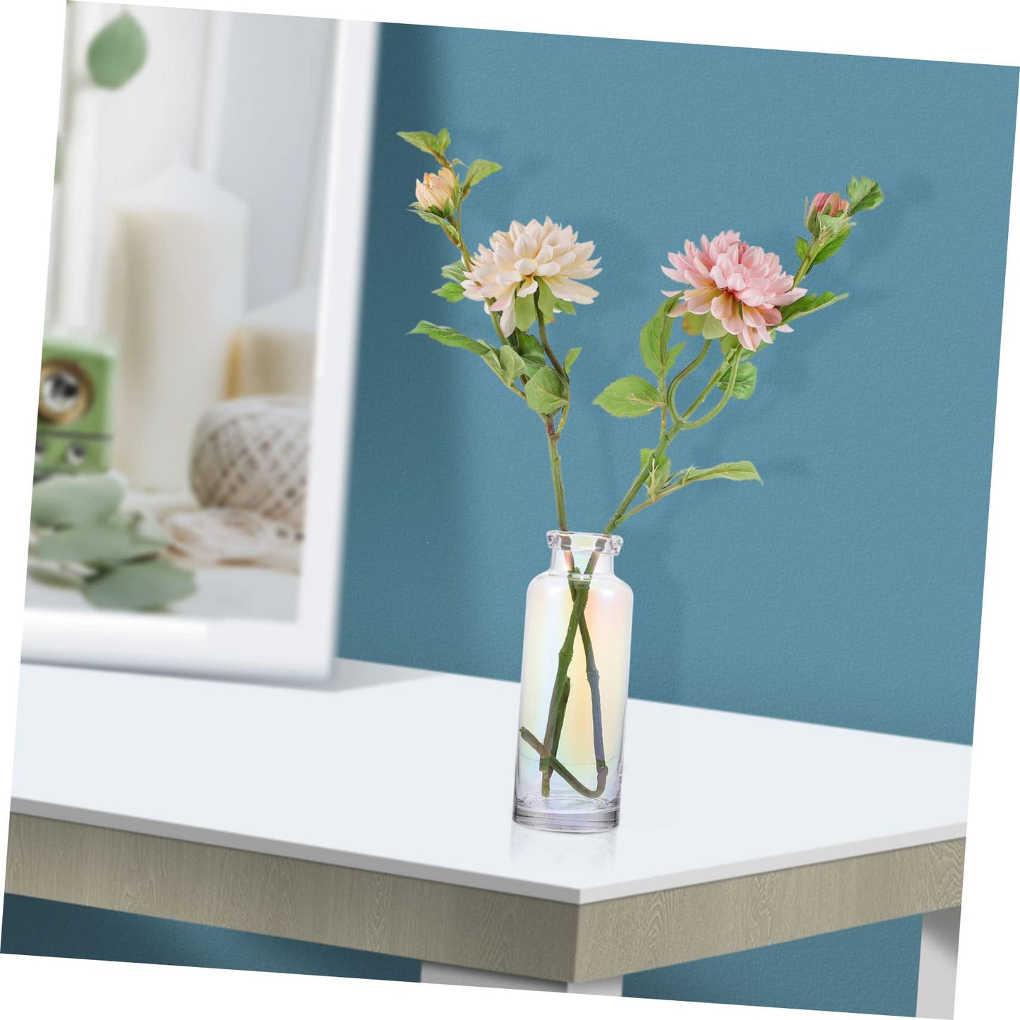 Alipis Glass Hydroponic Vase for Desktop Home Decoration Plant Terrarium Planter for Office and Events Modern Design for Hydroponics and Floral Arrangements