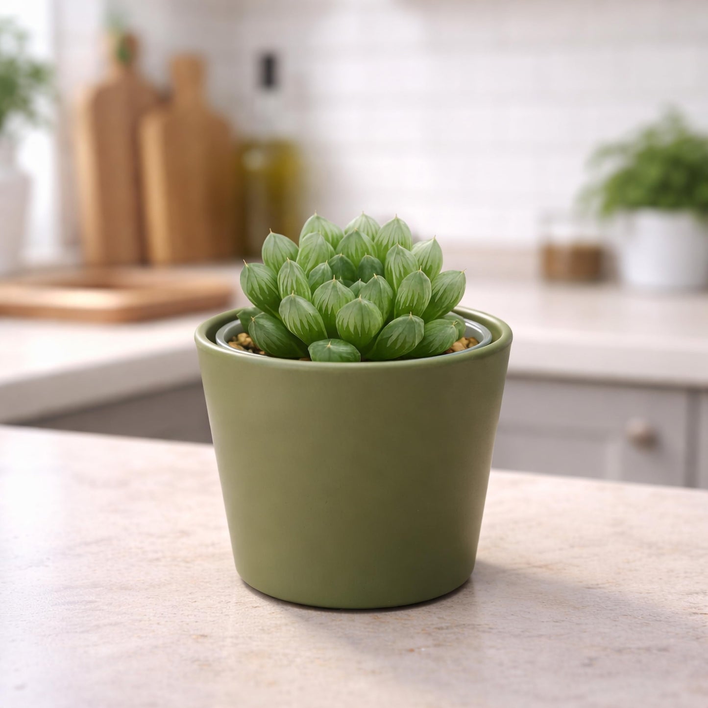 Phoenix Vine 3.5 Inch Olive Plastic Cachepot with Clear Nursery Pot, Decorative Lightweight Planter Cover with Transparent Inner Pot for Indoor Houseplants, Pack of 12, 24-A-F-12