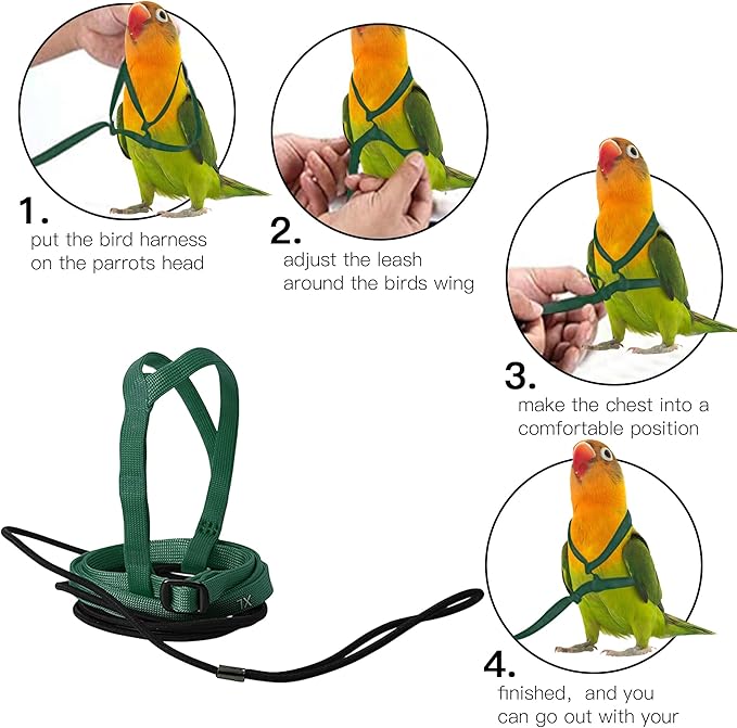 2 pcs Pet Parrot Bird Harness and Leash, Adjustable Training Design Anti-Bite, Outdoor Flying Training Rope Kit for Bird Parrots Fits Birds Chest Between46-76cm /18.11-29.92inch - XL (Green)