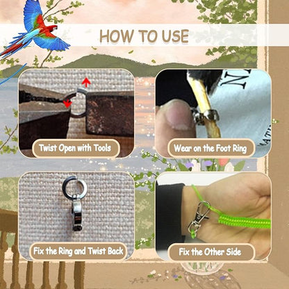 Bird Leash, Anti-Bite Bird Harness Retractable Parrot Flying Rope with 3Pcs Different Sizes of Foot Rings, Elastic String Training Harness Parrot Flight Rope (Blue, 197 Inches)