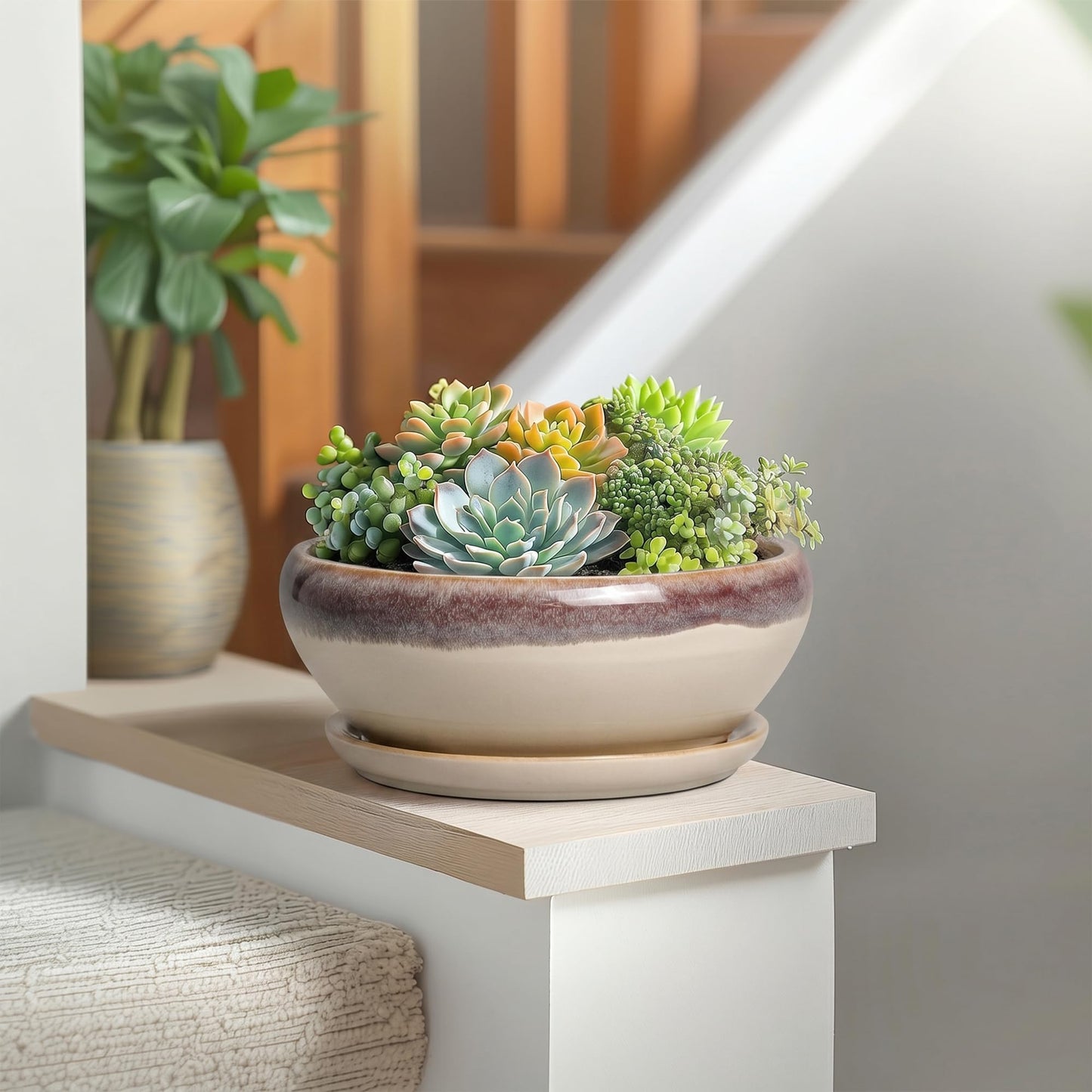 SQOWL Succulent Pots 8 Inch - Ceramic Bonsai Pots for Indoor Plants, Round Shallow Plant Pot with Drainage Hole and Saucer, Bowl Planter Outdoor, Patio Decor, Plant Lover Gifts, Beige