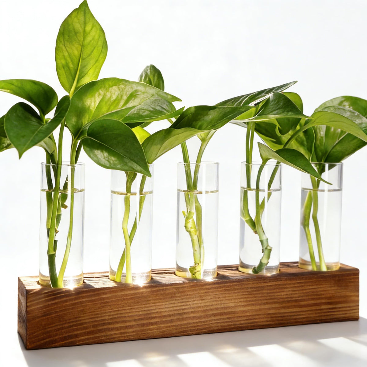 Renmxj Plant Propagation Station, Plant Terrarium with Wooden Stand, Plants Pots for Hydroponics, Small Birthday Gardening Gifts for Women Mom Plants Lovers Unique - 5 Glass Test Tubes Vases