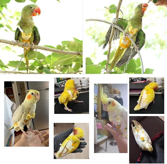 Diaper Flight Suite Liners for Birds Protective Nappy with Waterproof Inner Layer Cute Urine Wet Suit for Parrot Macaw African Budgies Conure Monk Parakeet (XS,Grey)
