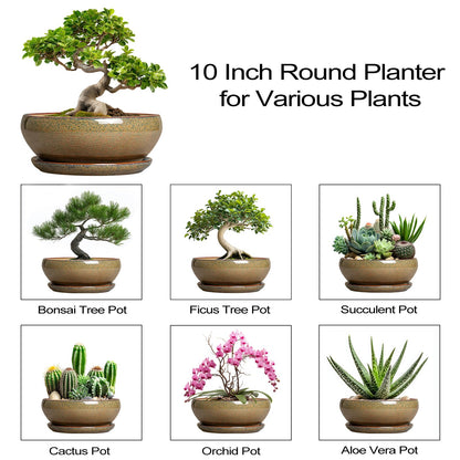 SQOWL Bonsai Planter - 10 Inch Ceramic Succulent Pots, Shallow Plant Pot Indoor with Drainage Hole and Saucer, Ceramic Bonsai Pots, Round Planter Bowl Outdoor, House Decor, Plant Lover Gifts, Brown