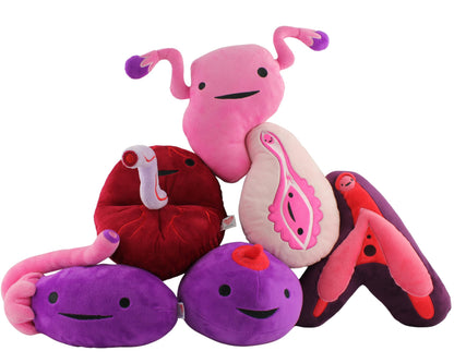 I Heart Guts - The Whole She-Bang Anatomy Bundle - Uterus Ovary Clitoris Vajayjay Placenta Female Anatomy OBGYN Medical Student Menstrual Education
