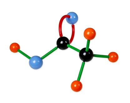 Vision Scientific-VCM004 Large Molecular Model Kit
