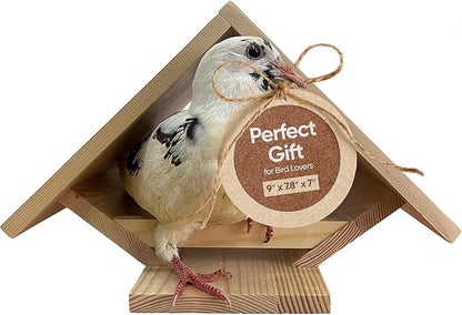 Dove Nesting Platform for Outside - Mourning Dove Nesting Box, Wooden Bird Nest for Pigeons, Open Bird Nesting Platform for Backyard Garden by Decoribles