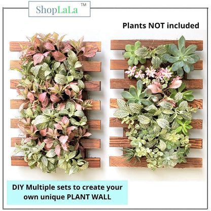 LalaGreen Bundle - 4" x 10 Pack Self Watering Plastic Pot + 4 Pack Wooden Orchid Hanging Planters for Indoor Plants, Wall Mount Plant Stand Ladder, Outdoor Vertical Garden Modern Hydroponic