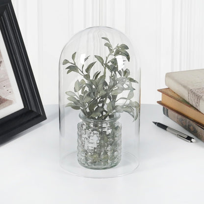 Plymor 5.5" x 10" Glass Display Dome Cloche (no Base)