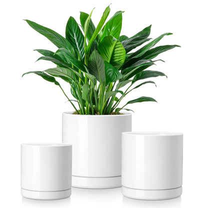 vancasso Ceramic Plant Pots, 6 Piece Planters for Indoor Plants, 4.25+5.25+6.25 Inch Flower Pots with Drainage
