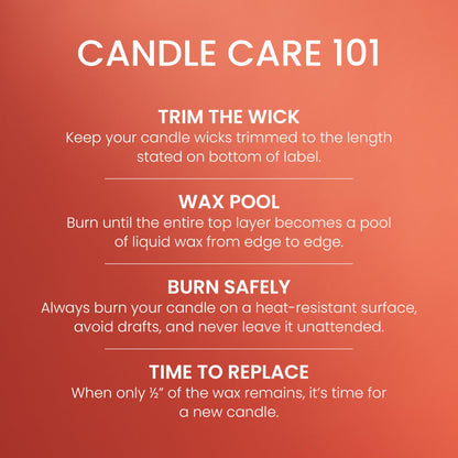 Yankee Candle Small Tumbler Scented Candle with up to 40 Hour Burn Time, Premium Plant Wax Blend for Consistent Burn, 4.3 oz Tumbler Candle with Room Filling Fragrance, Spiced Pumpkin