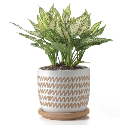 POITONRU Ceramic Flower Pots Indoor-Outdoor: 7.75 Inch Large Planters with Drainage Holes & Saucer - Modern Decorative Plant Pots Ceramic for Home Gardeners (Wave)