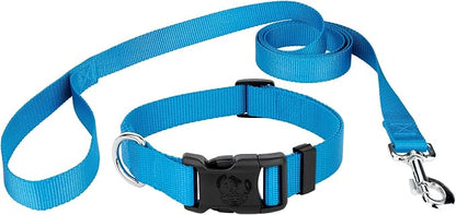 Country Brook Petz - Everyday Nylon Dog Collar and Leash - 10+ Cool Colors (3/4 Inch, Medium, Ice Blue)