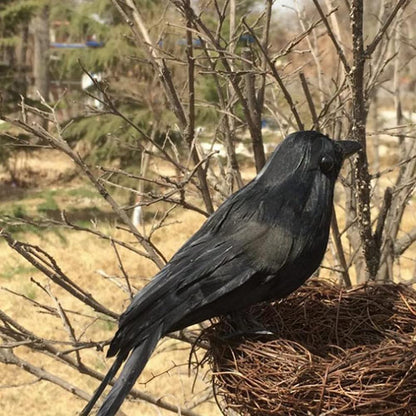 6 Pieces Halloween Black Feathered Crows - Realistic Handmade Ravens for Indoor Outdoor Decoration, 3 Styles