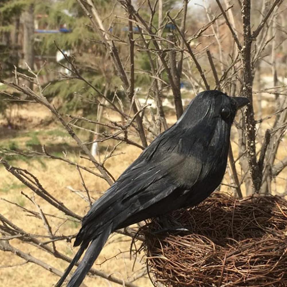 6 Pieces Halloween Black Feathered Crows - Realistic Handmade Ravens for Indoor Outdoor Decoration, 3 Styles