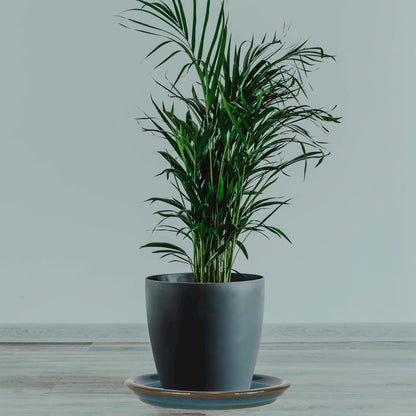 W&W Ceramic Plant Saucer - Plant Trays for Indoor Pots (Teal, 13 inches, 2 Packs)