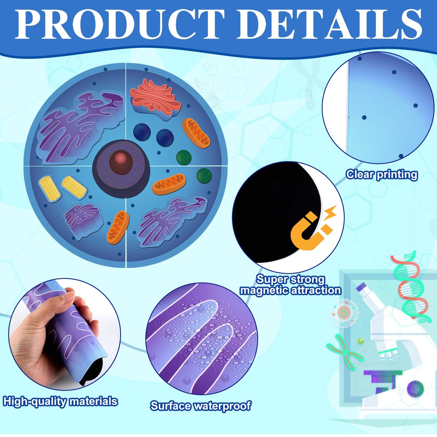 Leitee 18 Pcs Magnetic Animal Cell Model Kits Giant Teaching Resources Early Biology Cell Anatomy Model Life Science Teaching Aid for Whiteboard Learning Tools Educational Classroom Activities