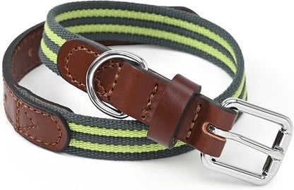 Mile High Life Genuine Leather Dog Collar, Heavy Duty Canvas Collar with Adjustable Metal Pin Buckle for Small Medium Large Dogs (Lime Green, M Neck 15"-18")