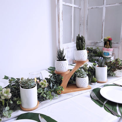 3pcs Owl Succulent Pots with 3 Tier Bamboo Saucers Stand Holder - White Modern Decorative Ceramic Flower Planter with Drainage - Home Office Desk Garden Mini Cactus Plant Pot Indoor Decoration
