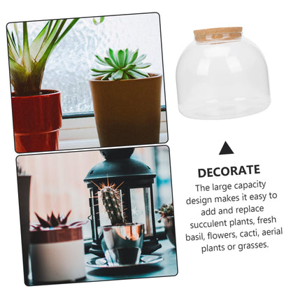 VANZACK 1set Glass Terrarium Container for Microlandscape Decor Transparent Bottle for Indoor and Outdoor Creative Plant Displays for Use
