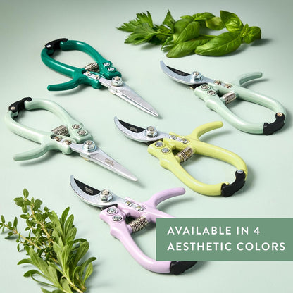Modern Sprout Pruning Shears - Herb Snipping Scissors- Lightweight Gardening Tools W/Easy Lock - Flower Cutter Garden Shears - Carbon Steel Blade + Plastic-Free Reusable Holster (Multicolor 4 Pcs)