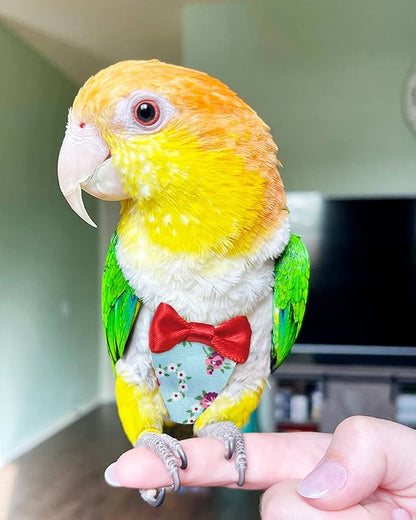 UKJENT Bird Diaper Protective Parrot Nappy - 2 Pack, Reusable Flight Suit with Waterproof Inner Layer, Washable Cute Urine Wet Suit for Cockatiel Monk Parakeet Sun Parakeet Lory(S)
