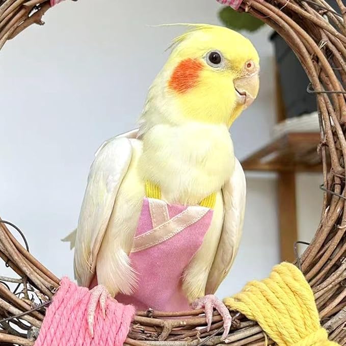 Bird Flight Suits Diapers, Parrot Flight Suits Diapers for Quaker Parakeets Cockatiels Conures Macaw African Grey, Bird Diaper, Parrot Clothes (Blue,M)