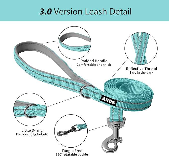 AIITLE Easy Walk Dog Harness and Leash Set - Pet Supply No Pull, Step in Adjustable Dog Harness with Padded Vest, Dog Harness No Choke Over, Easy to Put on Medium Dogs Turquoise L