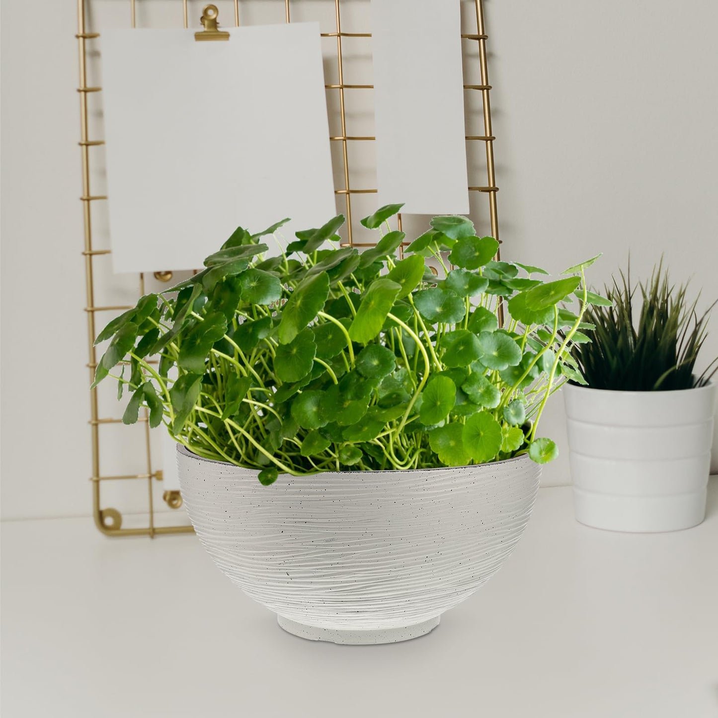 Water Lily Water Planter Large Hydroponic Planter Garden Plant Bowl Flower Planting Container Decoration Accessories Beige