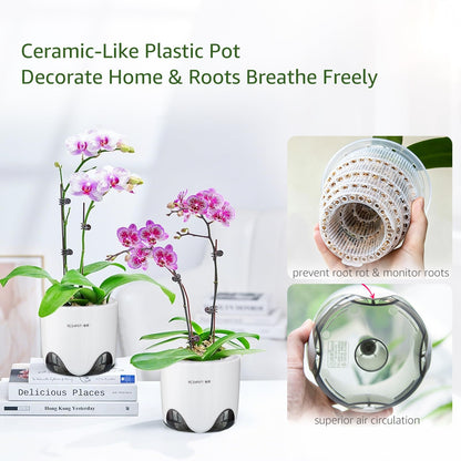 Meshpot 5 inch Orchid Pots with Holes for Repotting with Excellent Airflow, Set of 1, Double Layer Plastic Imitate Ceramic Orchid Planter, Clear Orchid Pot Match Decorative Orchid Container
