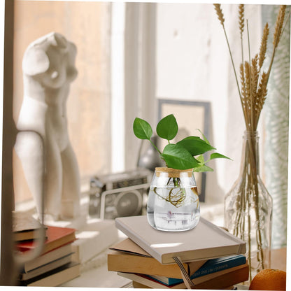 MAGICLULU 2pcs Glass Plant Terrarium Holder for Desktop Decor Moss Plant Bottle for Indoor Greenery Transparent Watering for