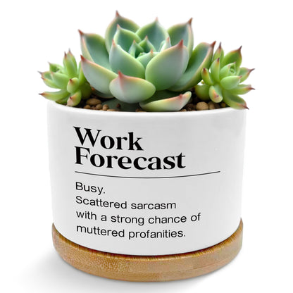 ROXMART Work Forecast Funny Plant Pots, Office Humor Gifts Succulent Planters, Funny Sarcastic Gifts for Coworkers Ceramic Plant Flower Pots for Home Office Desk Table Shelf(No Plants)