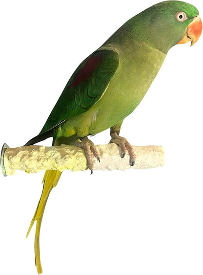 Polly's Edible Cuttlebone Calcium Bird Cage Perch for Budgies, Parakeets, Amazons, Blue & Golds, Macaws and Cockatoos.… (Pineapple, Medium)