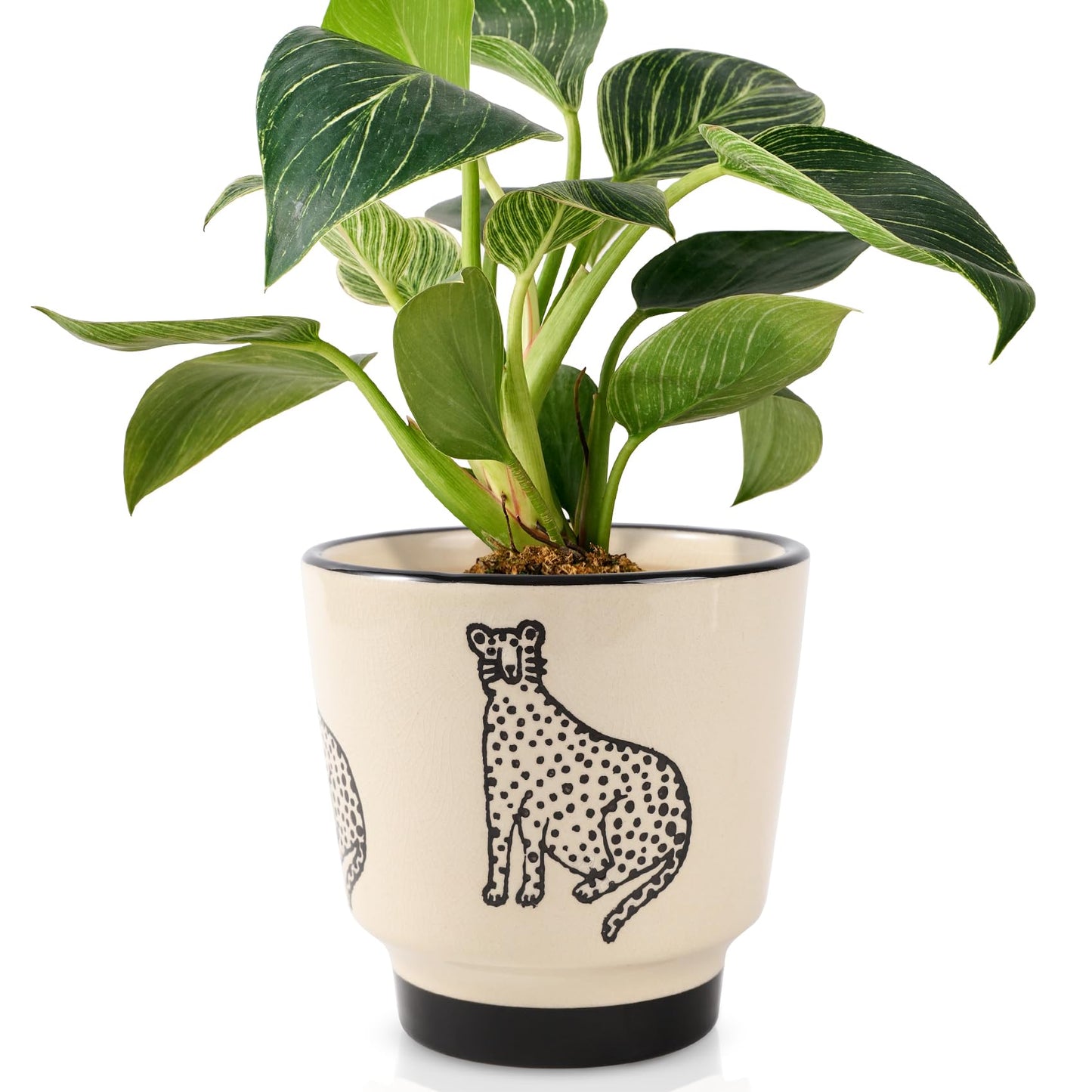 STHIE 5 Inch Ceramic Planters for Indoor Plants, Funny Small Plant Pots with Drainage, Unique Decorative Cute Flower Pot Panthers Round Flowerpots