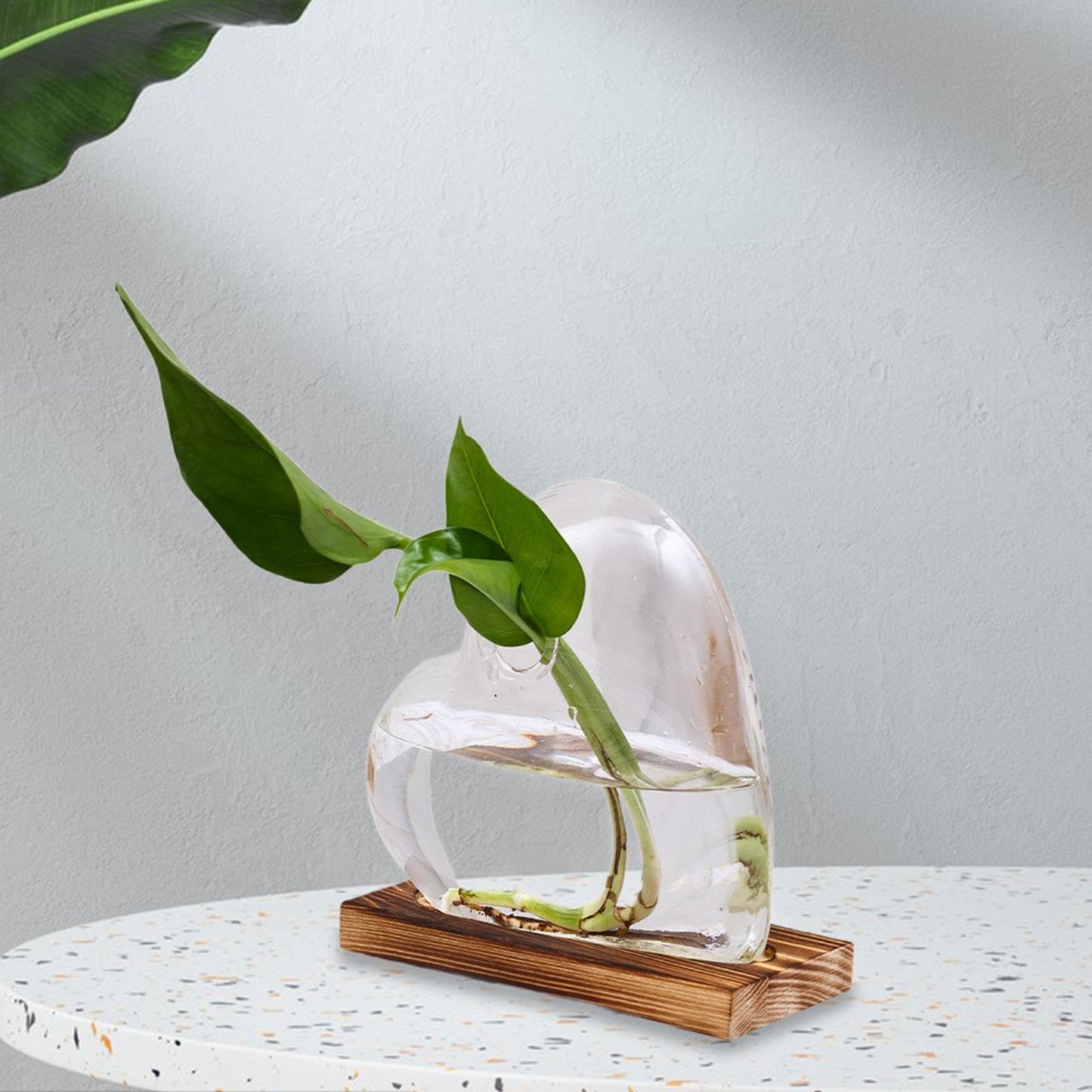 Heart Shaped Glass Vase with Wooden Base, Plant Terrarium Propagation Station for Windowsill Desk Decor (5.1x4.7 inch)